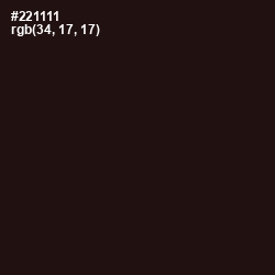 #221111 - Gondola Color Image