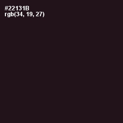 #22131B - Gondola Color Image