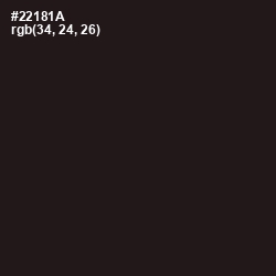 #22181A - Gondola Color Image