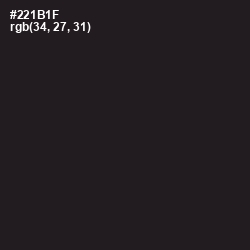 #221B1F - Oil Color Image