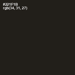 #221F1B - Oil Color Image