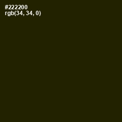 #222200 - Onion Color Image