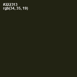 #222313 - Zeus Color Image