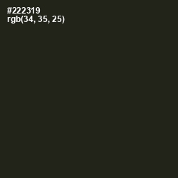 #222319 - Zeus Color Image