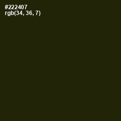 #222407 - Onion Color Image