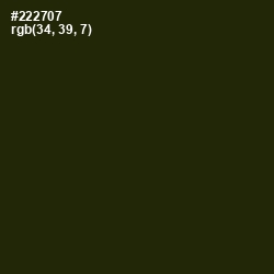 #222707 - Onion Color Image