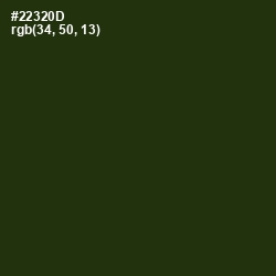 #22320D - Turtle Green Color Image