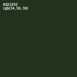#22321E - Green Kelp Color Image