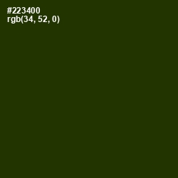 #223400 - Turtle Green Color Image