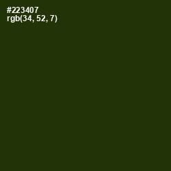 #223407 - Turtle Green Color Image