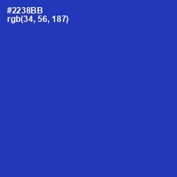 #2238BB - Governor Bay Color Image