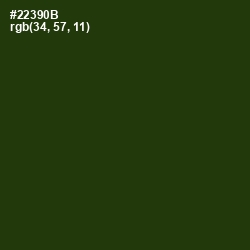 #22390B - Turtle Green Color Image