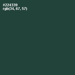 #224339 - Lunar Green Color Image