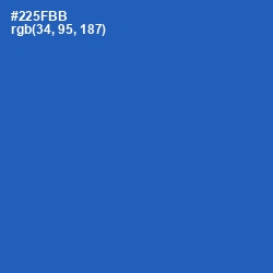 #225FBB - Cerulean Blue Color Image