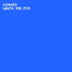 #2264FD - Blue Ribbon Color Image