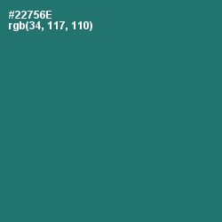 #22756E - Oracle Color Image