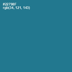 #22798F - Jelly Bean Color Image