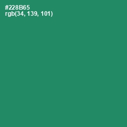 #228B65 - Eucalyptus Color Image