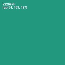 #22997F - Elf Green Color Image