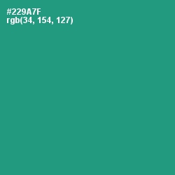 #229A7F - Elf Green Color Image