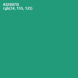 #229B7B - Eucalyptus Color Image