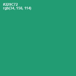 #229C72 - Eucalyptus Color Image