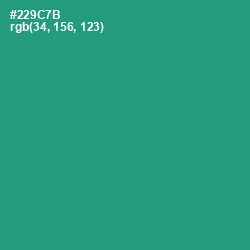 #229C7B - Eucalyptus Color Image