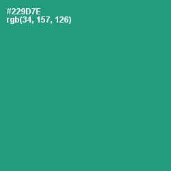 #229D7E - Elf Green Color Image