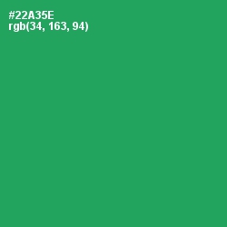#22A35E - Eucalyptus Color Image