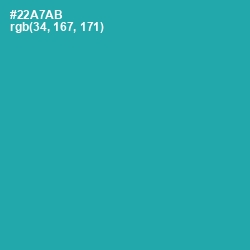 #22A7AB - Pelorous Color Image