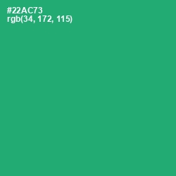#22AC73 - Jade Color Image