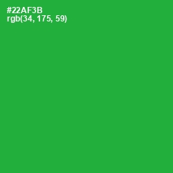 #22AF3B - Forest Green Color Image