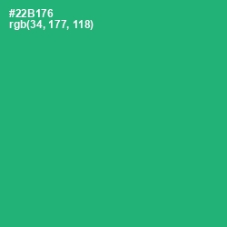 #22B176 - Jade Color Image