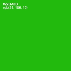 #22BA0D - Forest Green Color Image