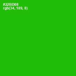 #22BD08 - Forest Green Color Image