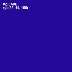 #230A9B - Blue Gem Color Image