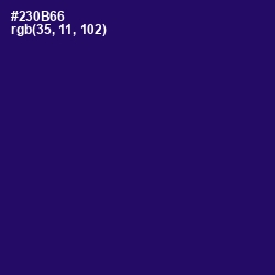 #230B66 - Paris M Color Image