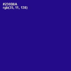 #230B8A - Blue Gem Color Image