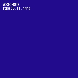 #230B8D - Blue Gem Color Image