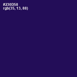 #230D58 - Violent Violet Color Image