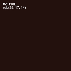 #23110E - Coffee Bean Color Image