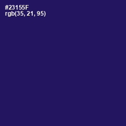 #23155F - Violent Violet Color Image