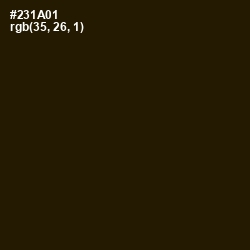 #231A01 - Cannon Black Color Image