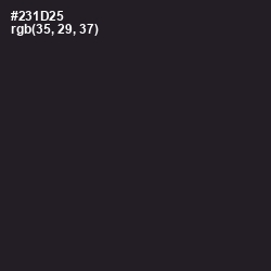 #231D25 - Revolver Color Image