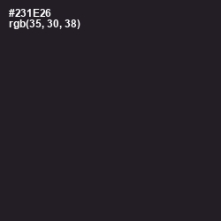 #231E26 - Revolver Color Image