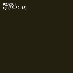 #23200F - Onion Color Image