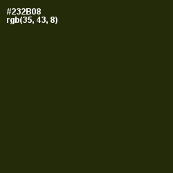 #232B08 - Onion Color Image