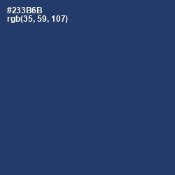 #233B6B - Rhino Color Image