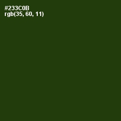 #233C0B - Turtle Green Color Image