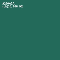 #236A5A - Amazon Color Image